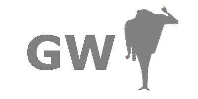 Gruyiweb de Guillermo Boffelli (Diseño y Programación Web Profesional)